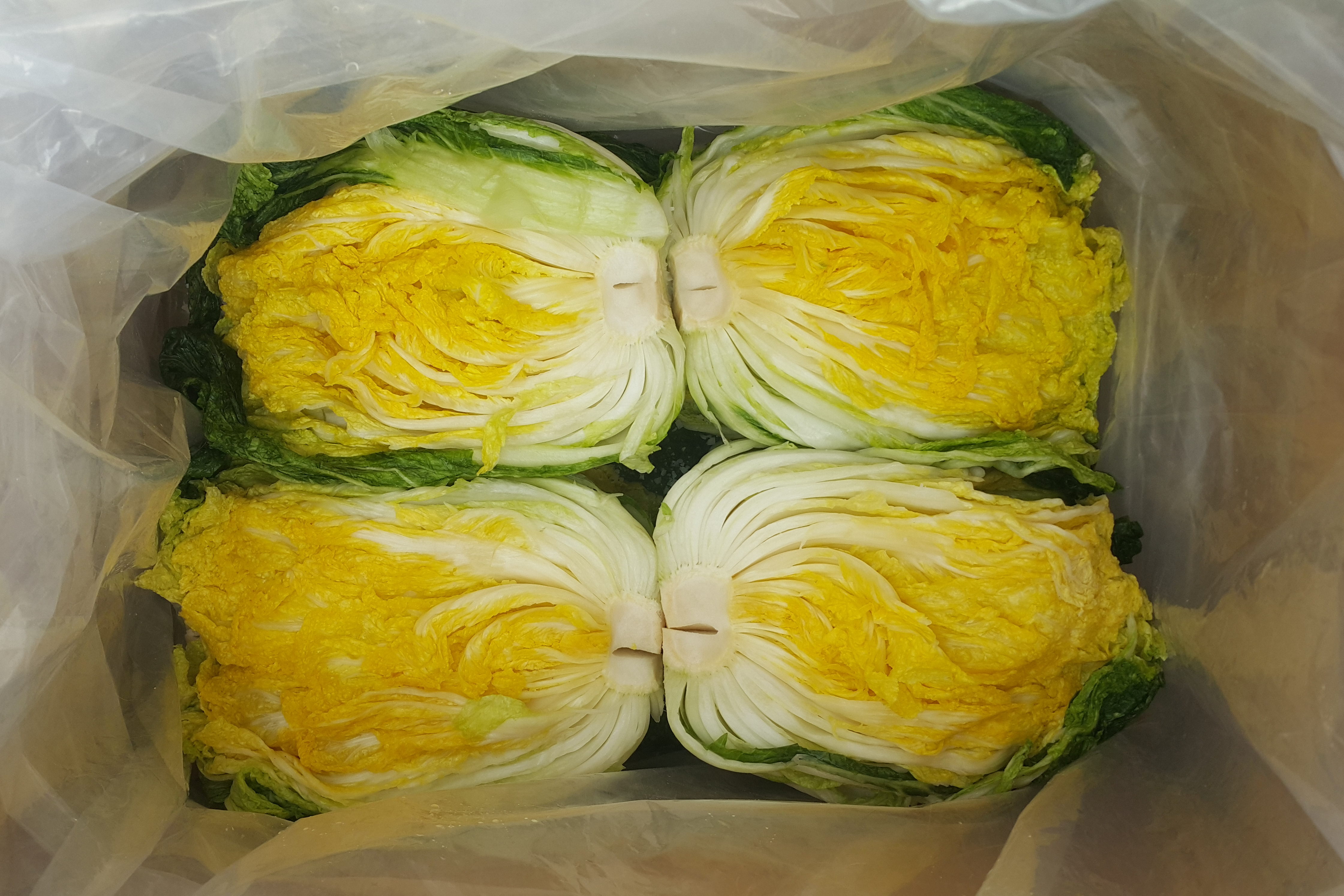 태기절임배추 20kg